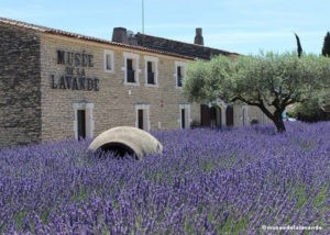 Le musée de la lavande - Un week end à Avignon