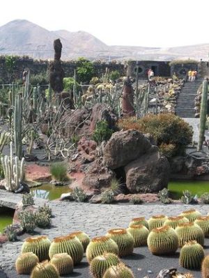 Jardin de cactus un week-end à Lanzarote